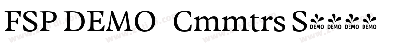 FSP DEMO   Cmmtrs S字体转换